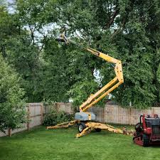 Best Palm Tree Trimming  in Bridgeport, NY